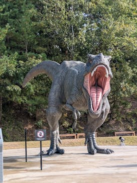 福井県立恐竜博物館に投稿された画像（2025/11/8）