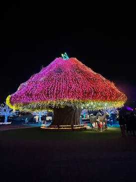 東京メガイルミに投稿された画像（2025/11/8）