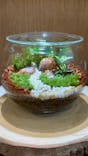 Terrariums 渋谷ヒカリエ店に投稿された画像（2025/11/9）