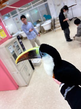 アニタッチ MARK IS 静岡に投稿された画像（2025/11/8）