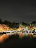 国営昭和記念公園 秋の夜散歩に投稿された画像（2025/11/9）