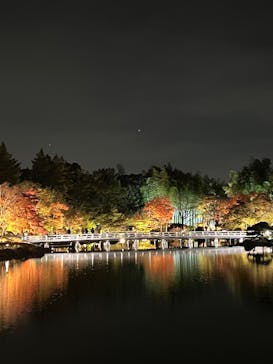 国営昭和記念公園 秋の夜散歩に投稿された画像（2025/11/8）