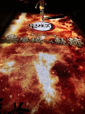 ニジゲンノモリに投稿された画像（2025/11/8）