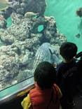 葛西臨海水族園に投稿された画像（2025/11/9）