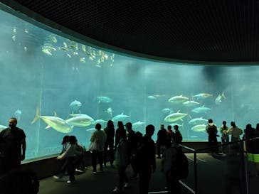 葛西臨海水族園に投稿された画像（2025/11/8）