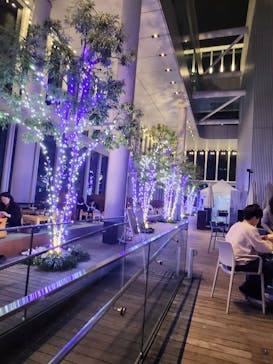 ハルカス300(展望台)に投稿された画像（2025/11/8）