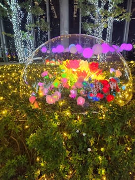 ハルカス300(展望台)に投稿された画像（2025/11/8）