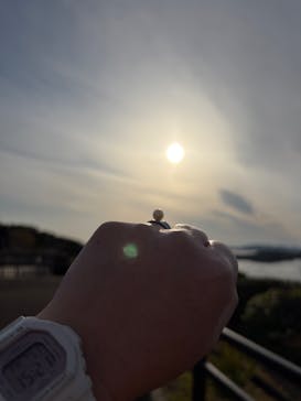 三重県真珠に投稿された画像（2025/11/6）