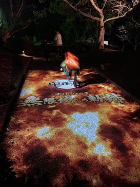 ニジゲンノモリに投稿された画像（2025/11/8）