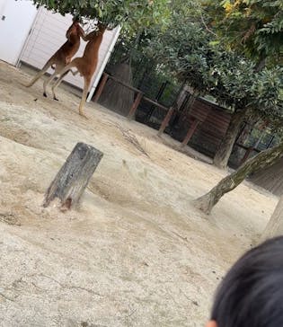 東武動物公園に投稿された画像（2025/11/8）