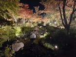 国営昭和記念公園 秋の夜散歩に投稿された画像（2025/11/9）