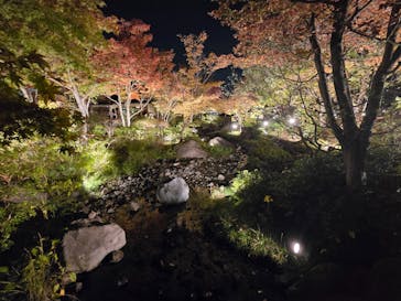 国営昭和記念公園 秋の夜散歩に投稿された画像（2025/11/8）