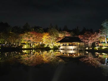国営昭和記念公園 秋の夜散歩に投稿された画像（2025/11/8）