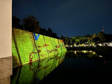 NAKED meets 二条城 2025 観月に投稿された画像（2025/11/8）