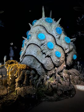 金曜ロードショーとジブリ展（静岡展）に投稿された画像（2025/11/8）