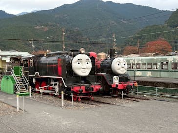 大井川鐵道株式会社に投稿された画像（2025/11/9）