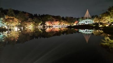 国営昭和記念公園 秋の夜散歩に投稿された画像（2025/11/9）