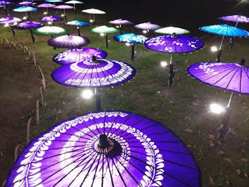 国営昭和記念公園 秋の夜散歩に投稿された画像（2025/11/9）