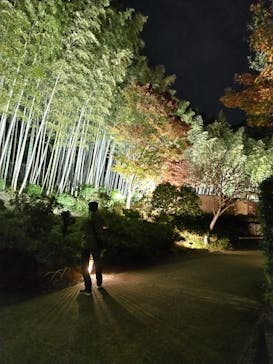 国営昭和記念公園 秋の夜散歩に投稿された画像（2025/11/9）