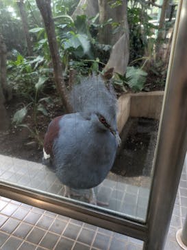 千葉市動物公園に投稿された画像（2025/11/9）