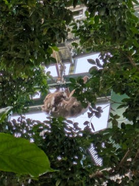 千葉市動物公園に投稿された画像（2025/11/9）