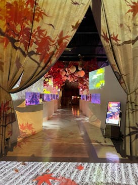 マクセル アクアパーク品川に投稿された画像（2025/11/9）