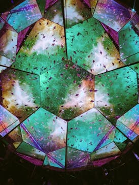 ひらかたパークに投稿された画像（2025/11/9）