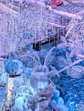 ひらかたパークに投稿された画像（2025/11/9）