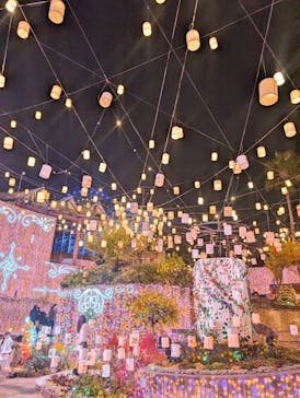 ひらかたパークに投稿された画像（2025/11/9）