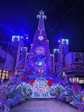 ひらかたパークに投稿された画像（2025/11/9）