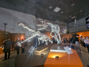 特別展「大絶滅展―生命史のビッグファイブ」に投稿された画像（2025/11/9）