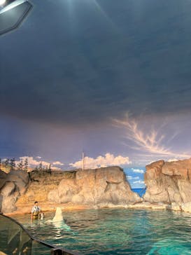 名古屋港水族館に投稿された画像（2025/11/9）