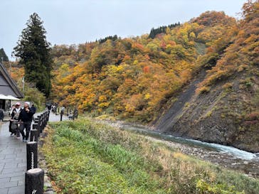 清津峡渓谷トンネルに投稿された画像（2025/11/9）