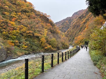 清津峡渓谷トンネルに投稿された画像（2025/11/9）