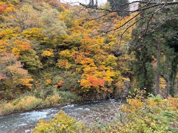 清津峡渓谷トンネルに投稿された画像（2025/11/9）