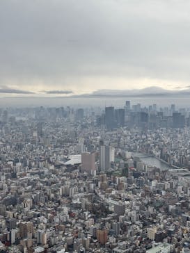 東京スカイツリーに投稿された画像（2025/11/9）