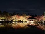 国営昭和記念公園 秋の夜散歩に投稿された画像（2025/11/9）