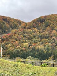ナステビュウ湯の山に投稿された画像（2025/11/9）