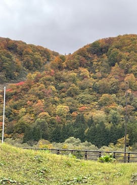 ナステビュウ湯の山に投稿された画像（2025/11/9）