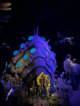 金曜ロードショーとジブリ展（静岡展）に投稿された画像（2025/11/9）