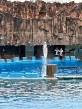 名古屋港水族館に投稿された画像（2025/11/9）