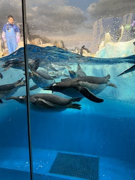 名古屋港水族館に投稿された画像（2025/11/9）