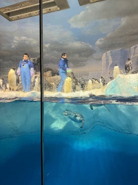 名古屋港水族館に投稿された画像（2025/11/9）