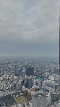 サンシャイン60展望台に投稿された画像（2025/11/9）