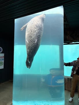 東北サファリパークに投稿された画像（2025/11/9）