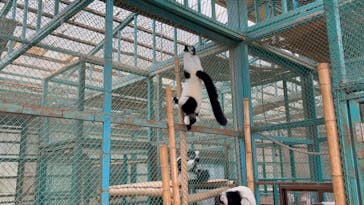 東北サファリパークに投稿された画像（2025/11/9）