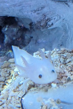 ひらかたパークに投稿された画像（2025/11/9）