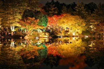 国営昭和記念公園 秋の夜散歩に投稿された画像（2025/11/9）
