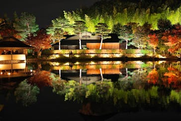 国営昭和記念公園 秋の夜散歩に投稿された画像（2025/11/9）