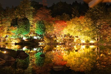 国営昭和記念公園 秋の夜散歩に投稿された画像（2025/11/9）